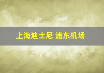 上海迪士尼 浦东机场